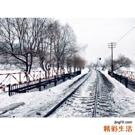 3 中药百部的功效