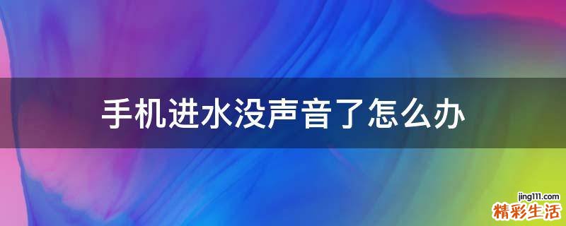 手机进水没声音了怎么办