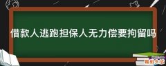 借款人逃跑担保人无力偿要拘留吗