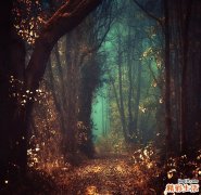 【男人不想女人知道什么】男人十个不让女人知道的秘密