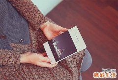 3 罗汉松叶
