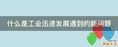 什么是工业迅速发展遇到的新问题