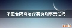 不配合隔离治疗要负刑事责任吗
