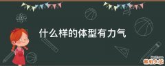 什么样的体型有力气