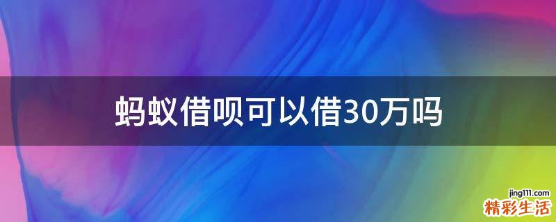 蚂蚁借呗可以借30万吗
