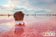 中风的护理常规