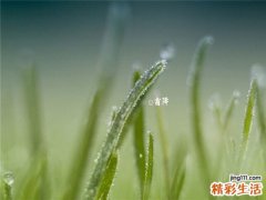 克服职场焦虑应学会自我减压