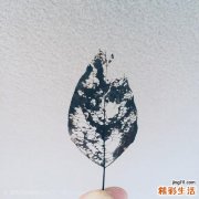 鼻窦炎用什么抗生素