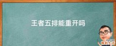 王者五排能重开吗