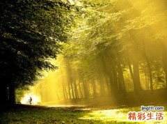 早上发热下午正常或是夏季热