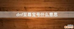 dnf至尊宝号什么意思