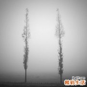 2 怎么监测颅内压？