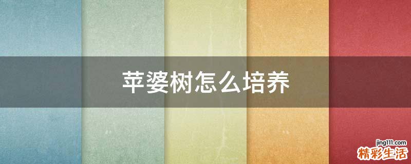 苹婆树怎么培养