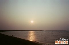 3 鹰爪花根