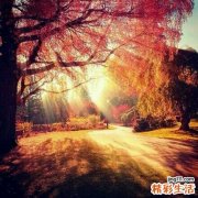 九招把压力“管理”起来