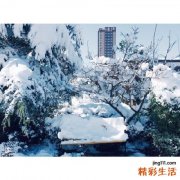 吃避孕药影响生育吗