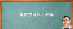 富贵竹可以土养吗