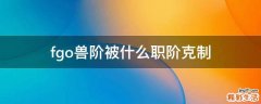 fgo兽阶被什么职阶克制