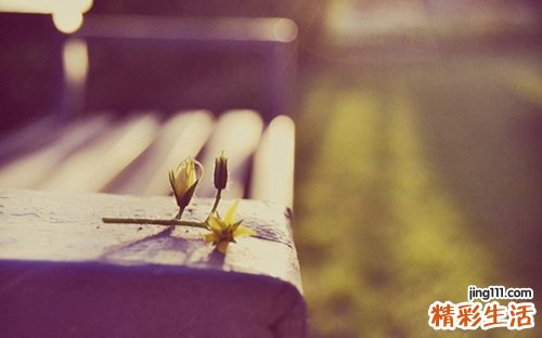 神秘果功效与作用有哪些