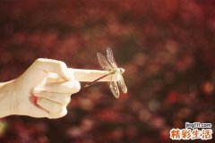 放射性肠炎的饮食禁忌
