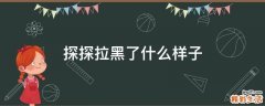 探探拉黑了什么样子