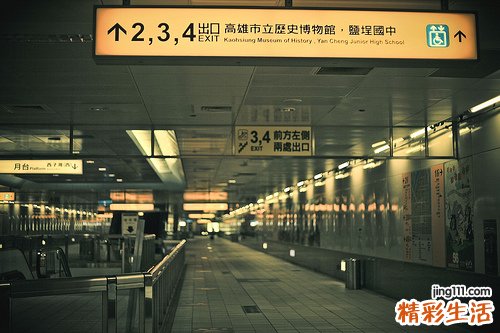 白菊花