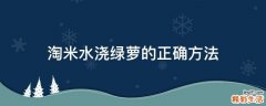 淘米水浇绿萝的正确方法