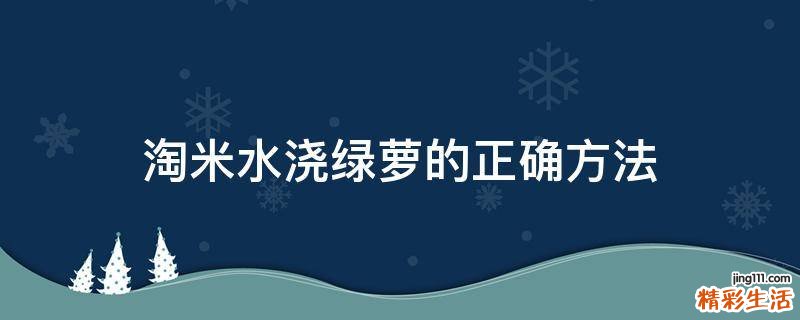 淘米水浇绿萝的正确方法