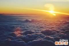 絞股藍的功效作用和副作用