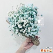 秋季大便干燥吃什么水果好