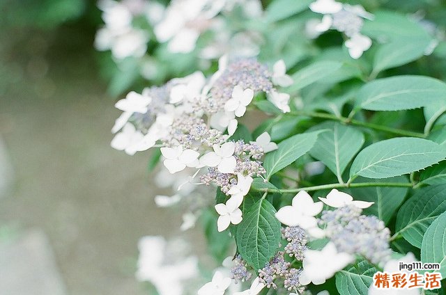 夏天中暑呕吐怎么办