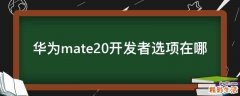 华为mate20开发者选项在哪
