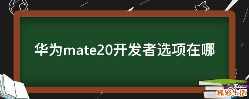 华为mate20开发者选项在哪