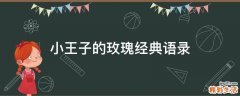 小王子的玫瑰经典语录