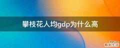 攀枝花人均gdp为什么高