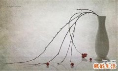 2 癞树叶