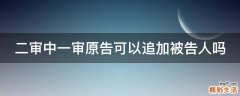 二审中一审原告可以追加被告人吗