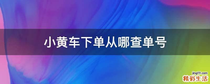 小黃車下單從哪查單號