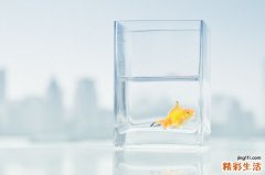 直击消化道内镜检查的全过程