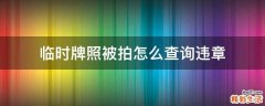 临时牌照被拍怎么查询违章