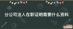 分公司法人在职证明需要什么资料