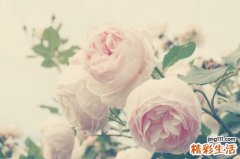 人员触电如何急救