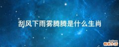 刮风下雨雾腾腾是什么生肖