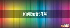 如何泡普洱茶
