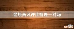 燃烧高风许佳桐是一对吗