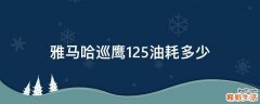 雅马哈巡鹰125油耗多少
