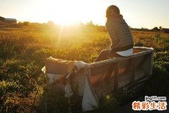 食管损伤的检查