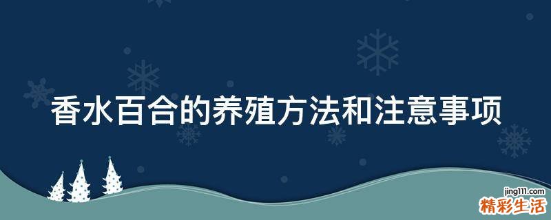 香水百合的养殖方法和注意事项
