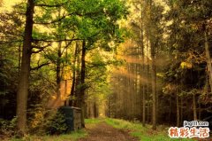 如何成为职场精英_成为职场精英的方法