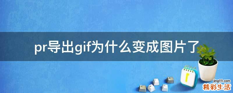 pr导出gif为什么变成图片了
